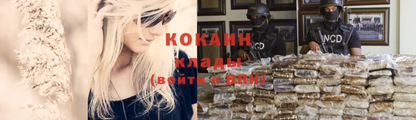 индика Алексеевка
