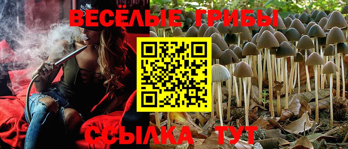 Псилоцибиновые грибы ЛСД Домодедово