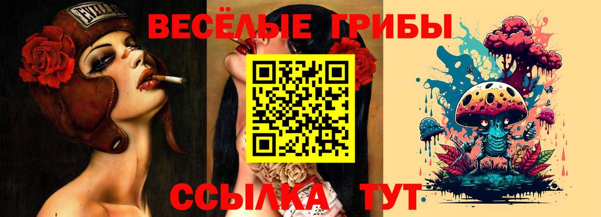 Домодедово  закладки  Вход с VPN  Псилоцибиновые грибы MAGIC MUSHROOMS 